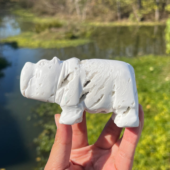 White Agate Hippopotamus #DK141