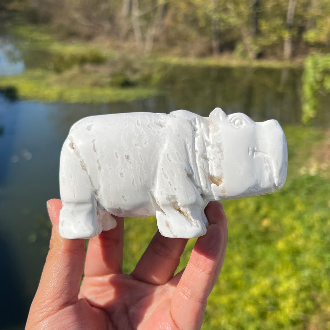 White Agate Hippopotamus #DK141