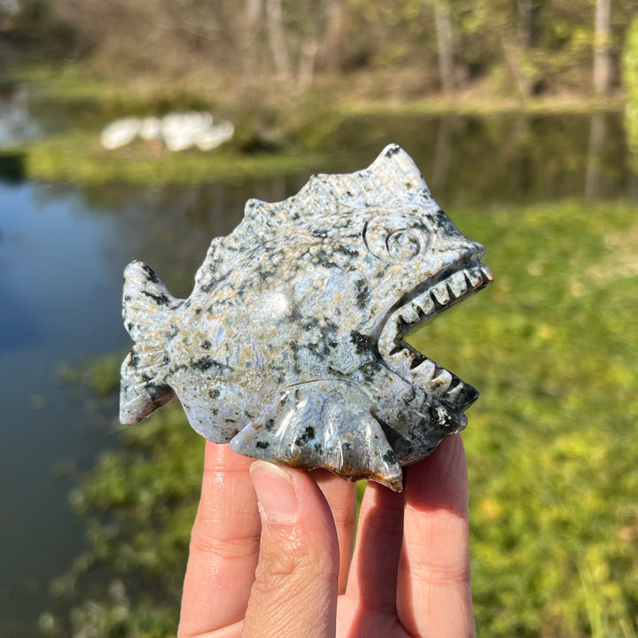 Ocean Jasper Piranha