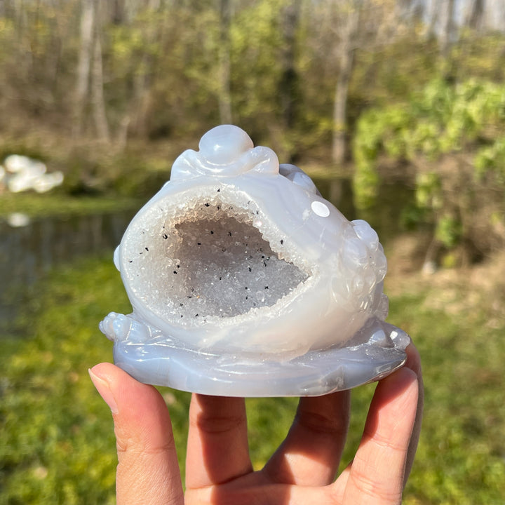 Agate Geode Toad