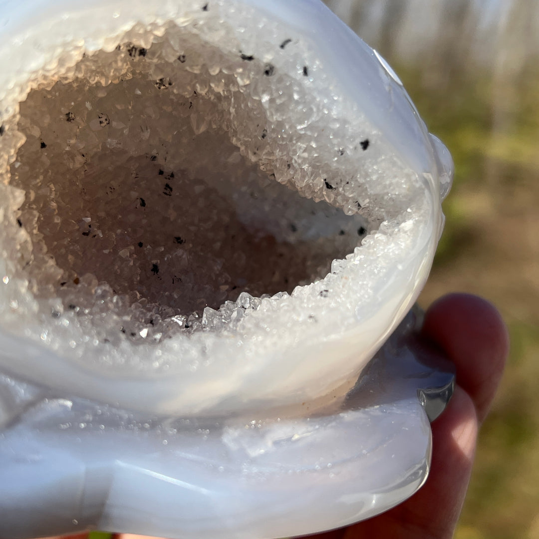 Agate Geode Toad