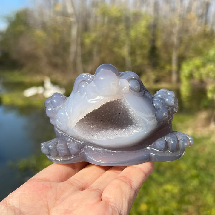 Agate Geode Toad