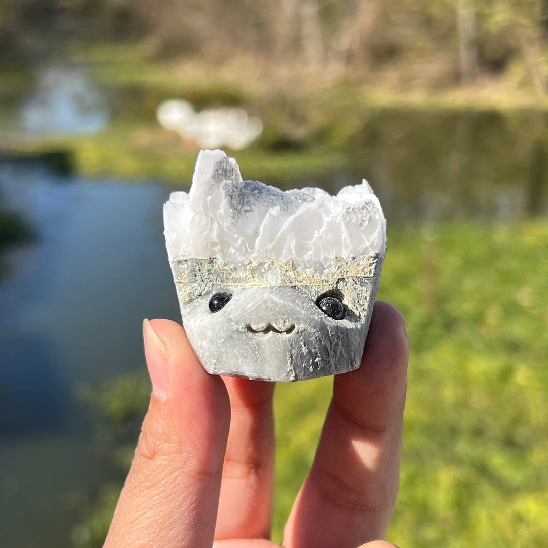 Calcite Groot Skull