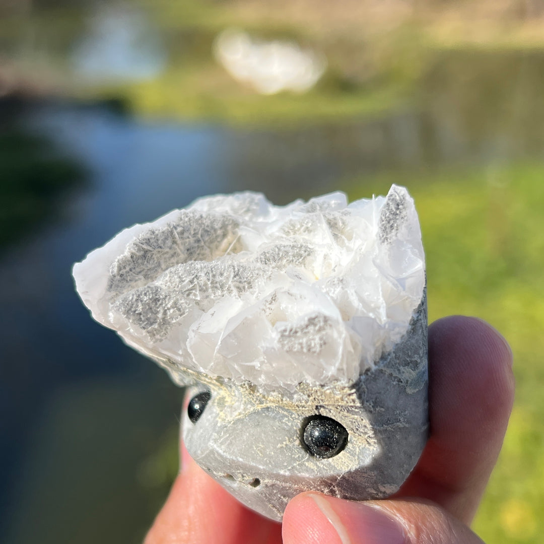 Calcite Groot Skull