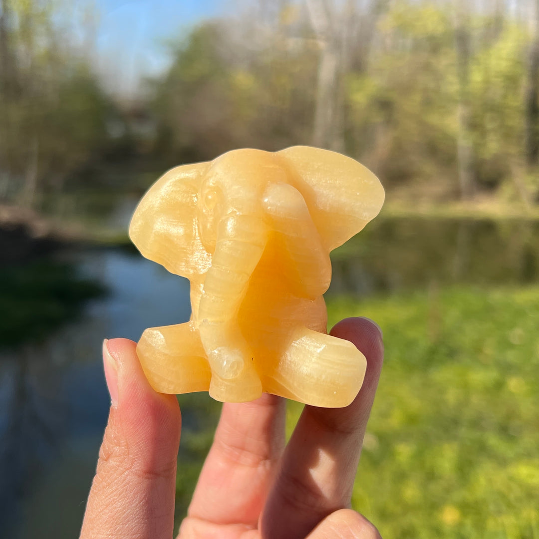 Yellow Calcite Elephant