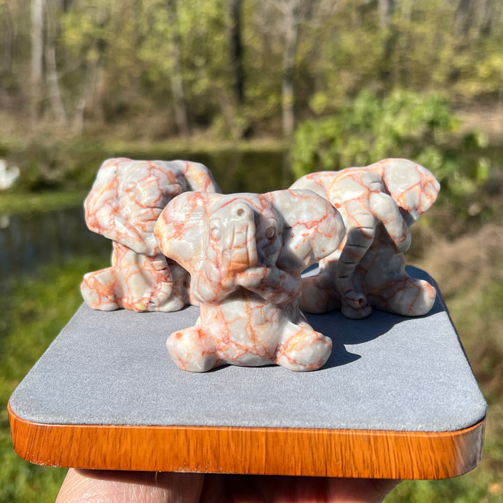 Red Network Jasper Elephant