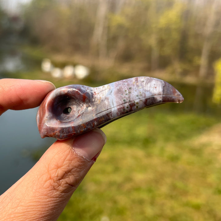 Ocean Jasper Crow Skull