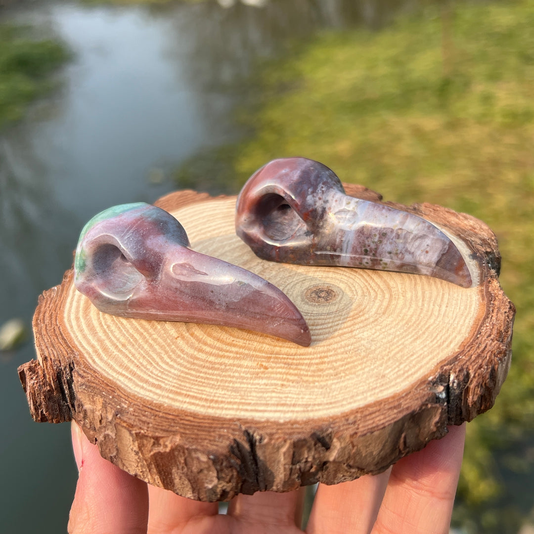 Ocean Jasper Crow Skull