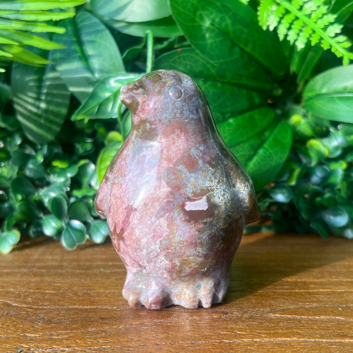 Ocean Jasper Penguin