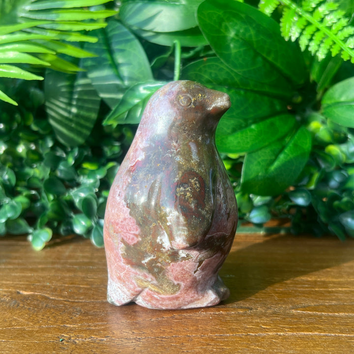 Ocean Jasper Penguin