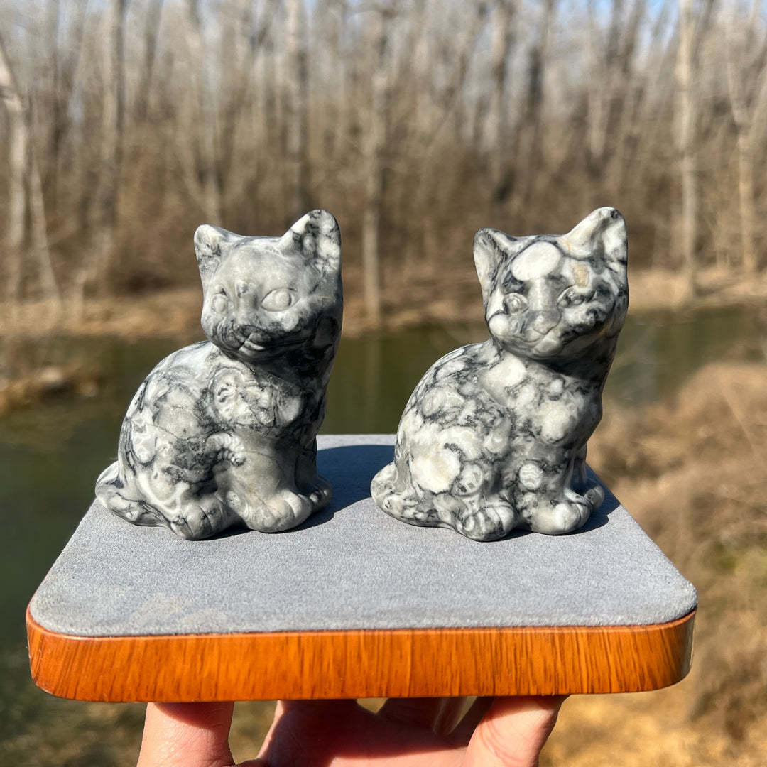 Ammonite Fossil Cat Carving