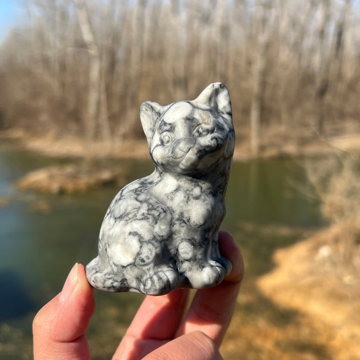 Ammonite Fossil Cat Carving