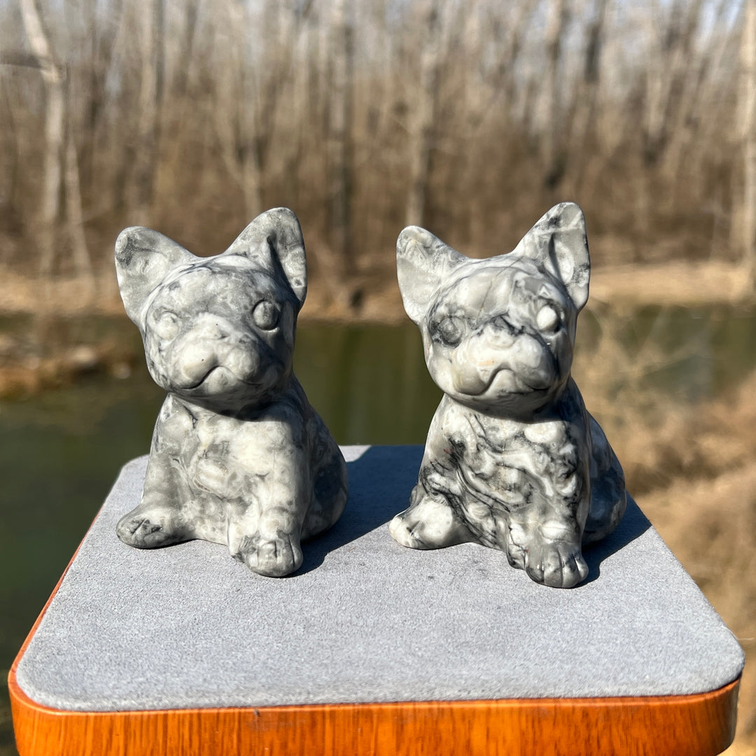 Ammonite Fossil Bulldog Carving