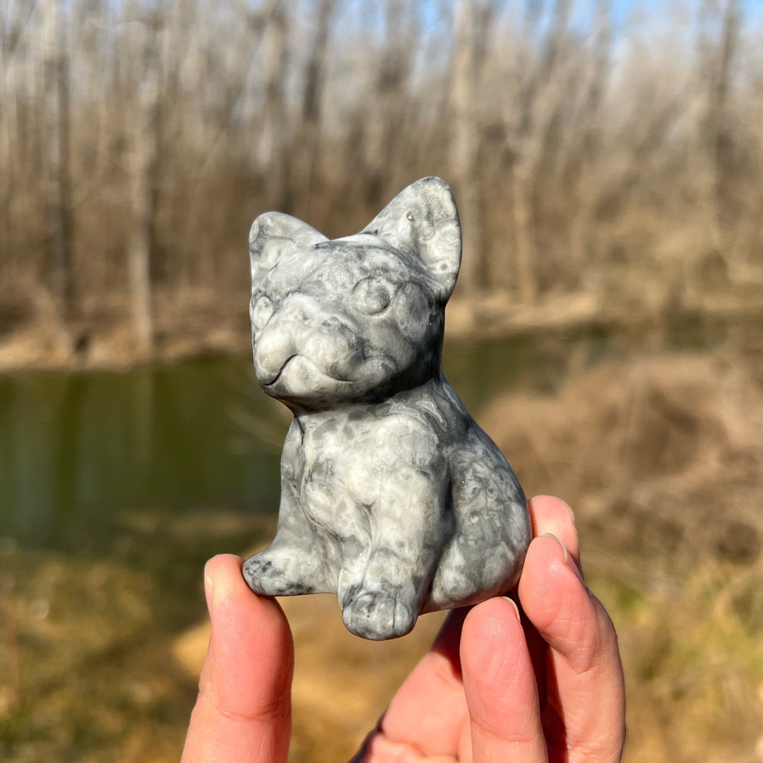 Ammonite Fossil Bulldog Carving