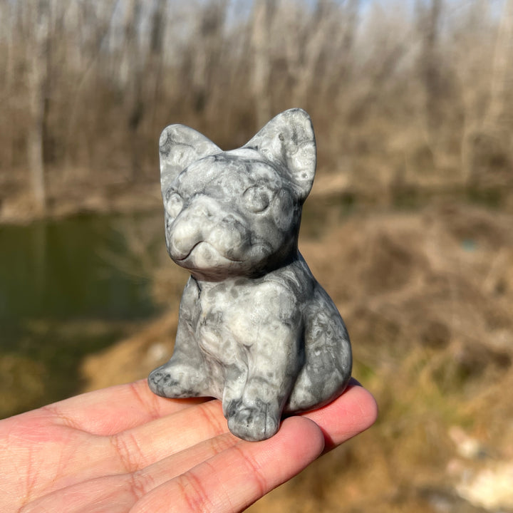 Ammonite Fossil Bulldog Carving