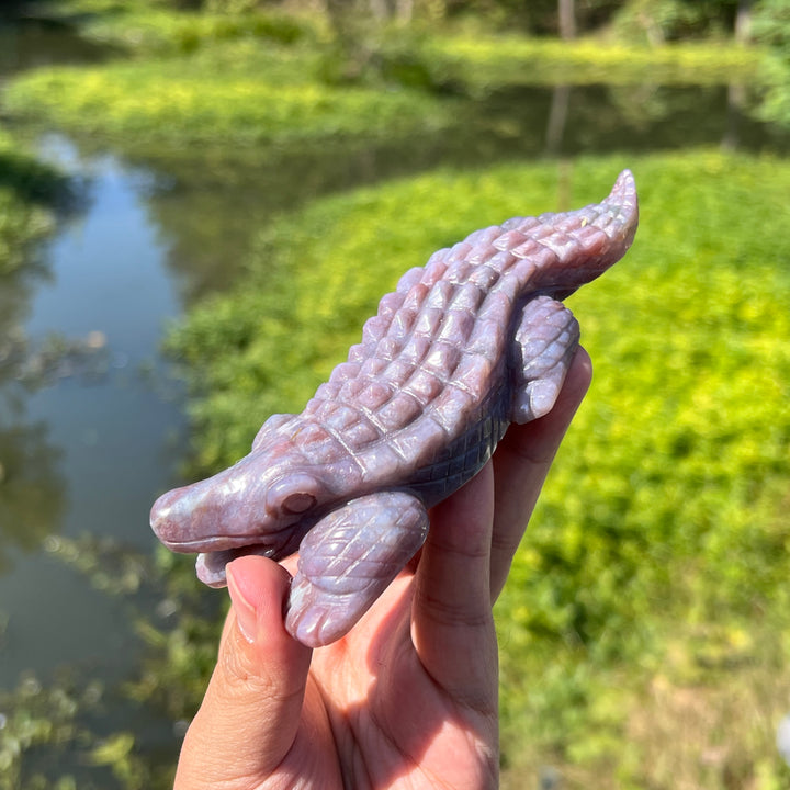 Ocean Jasper Crocodile