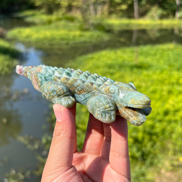 Ocean Jasper Crocodile