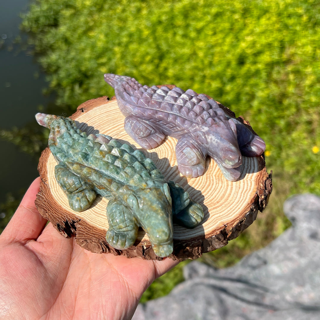 Ocean Jasper Crocodile