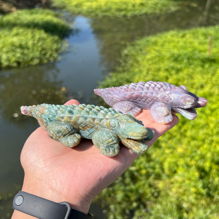 Ocean Jasper Crocodile