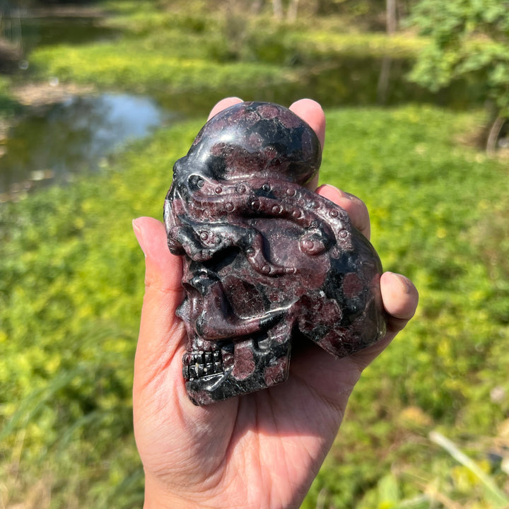 Garnet with Arfvedsonite and Astrophyllite Octopus Skull