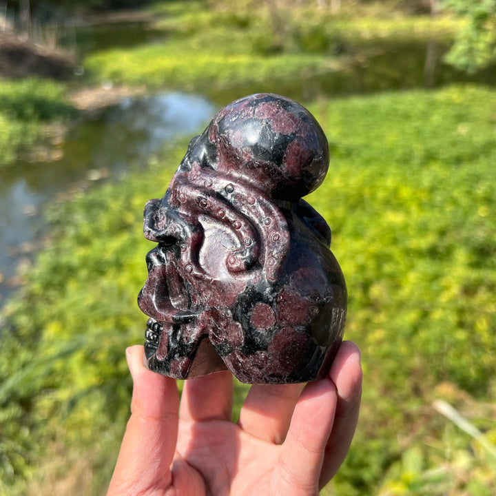 Garnet with Arfvedsonite and Astrophyllite Octopus Skull