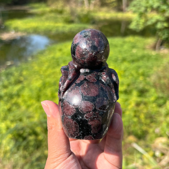 Garnet with Arfvedsonite and Astrophyllite Octopus Skull