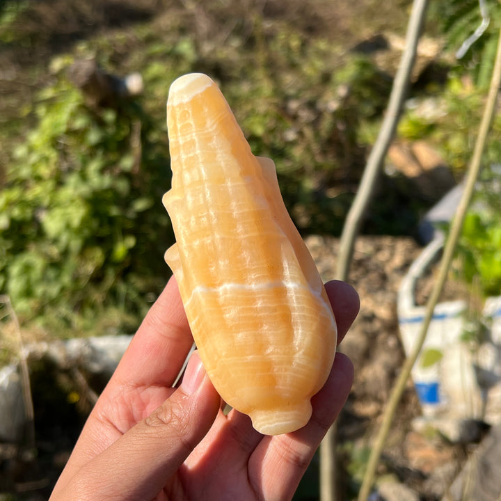 Yellow Calcite Corn