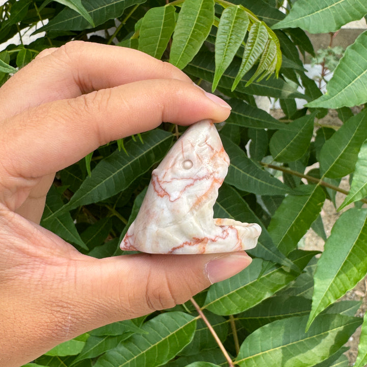 Red Network Quartz Shark Skull