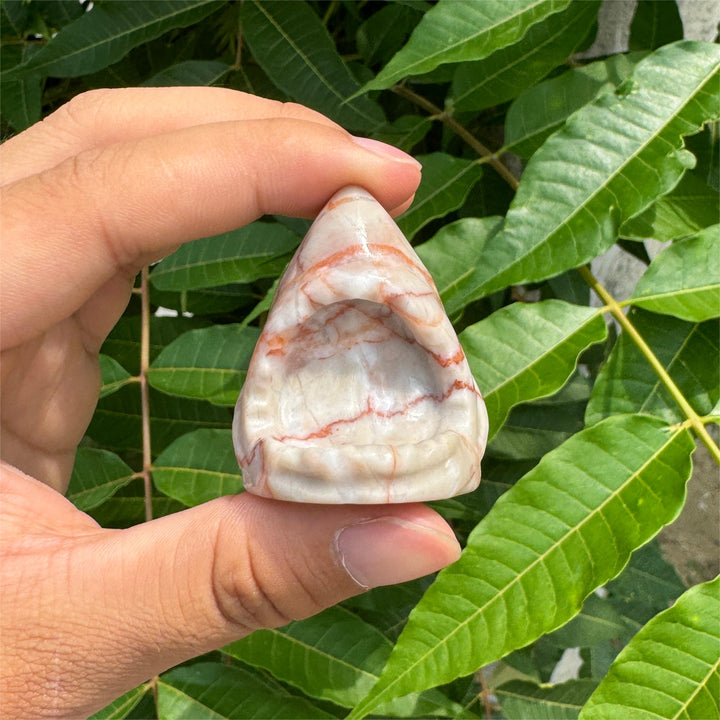 Red Network Quartz Shark Skull