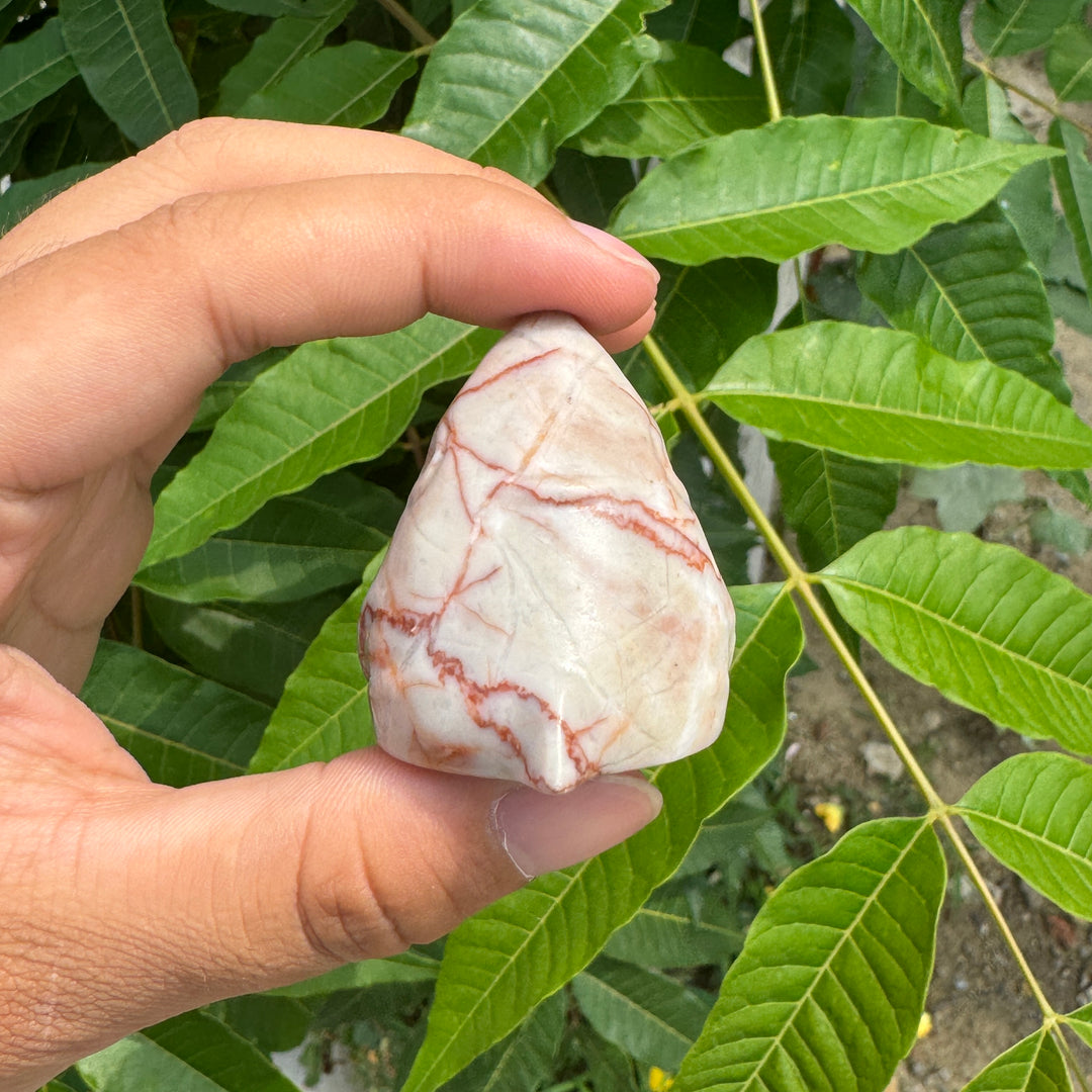 Red Network Quartz Shark Skull