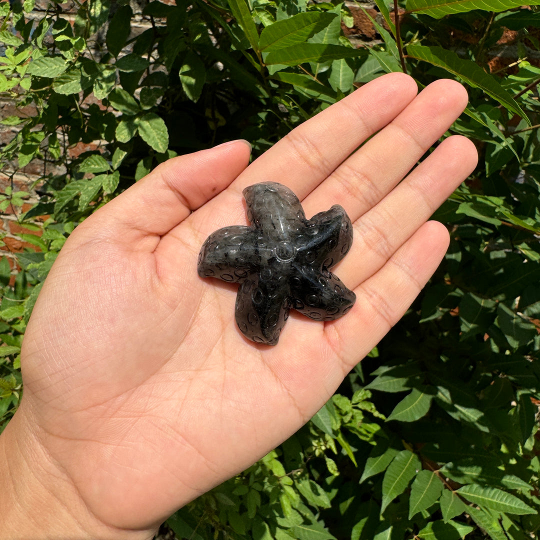 StarFish Carving