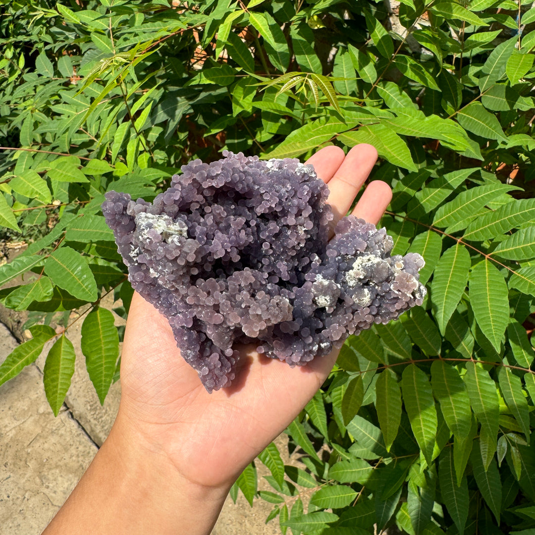 Unique,Grape Agate