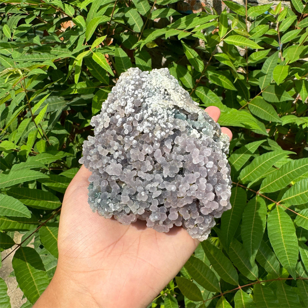 Unique,Grape Agate