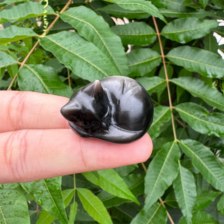 Silver Obsidian Sleeping Cat