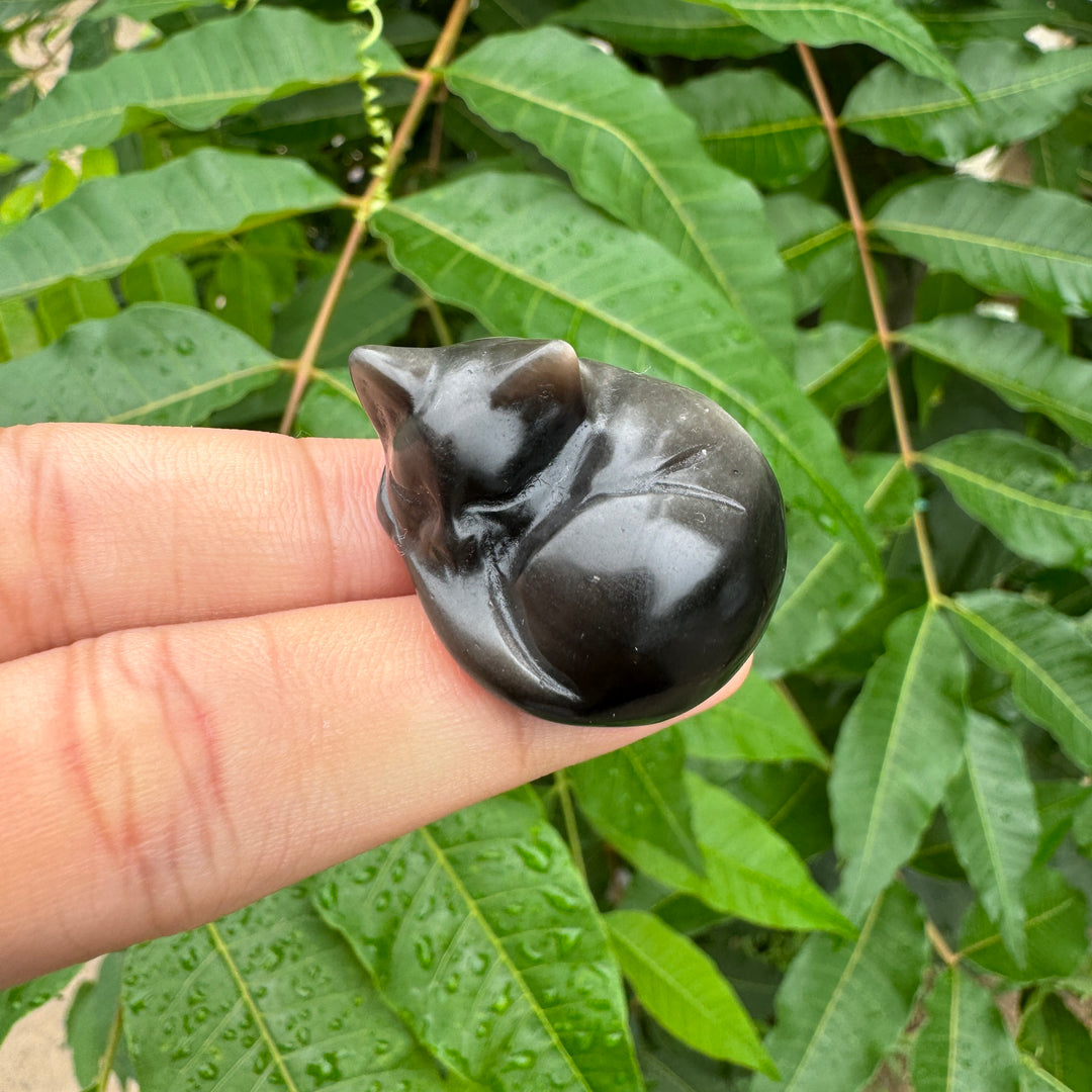 Silver Obsidian Sleeping Cat