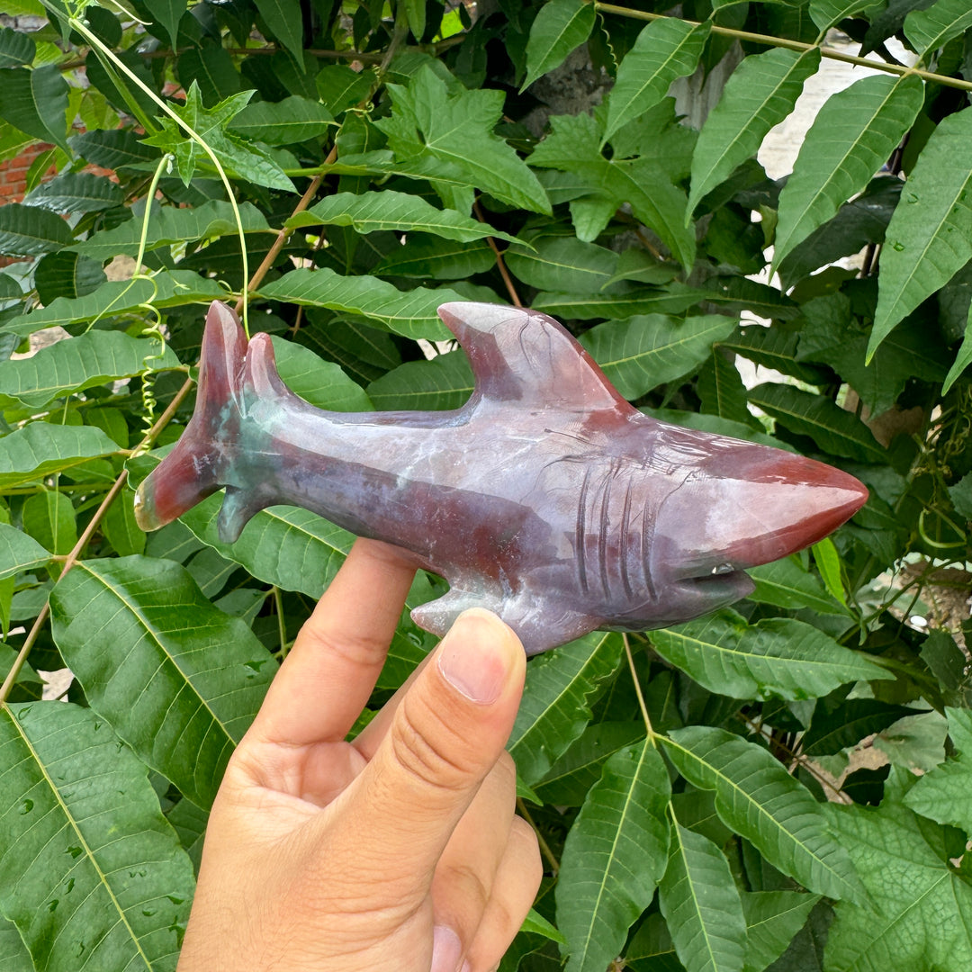 Unique,Ocean Jasper/Agate Shark Carving