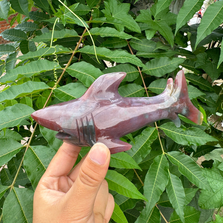 Unique,Ocean Jasper/Agate Shark Carving