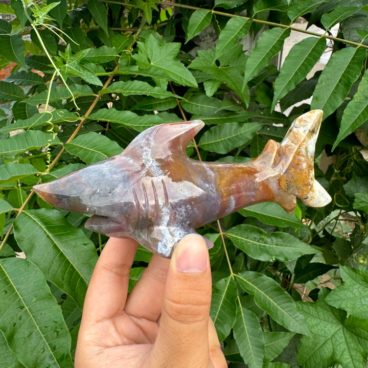 Unique,Ocean Jasper/Agate Shark Carving