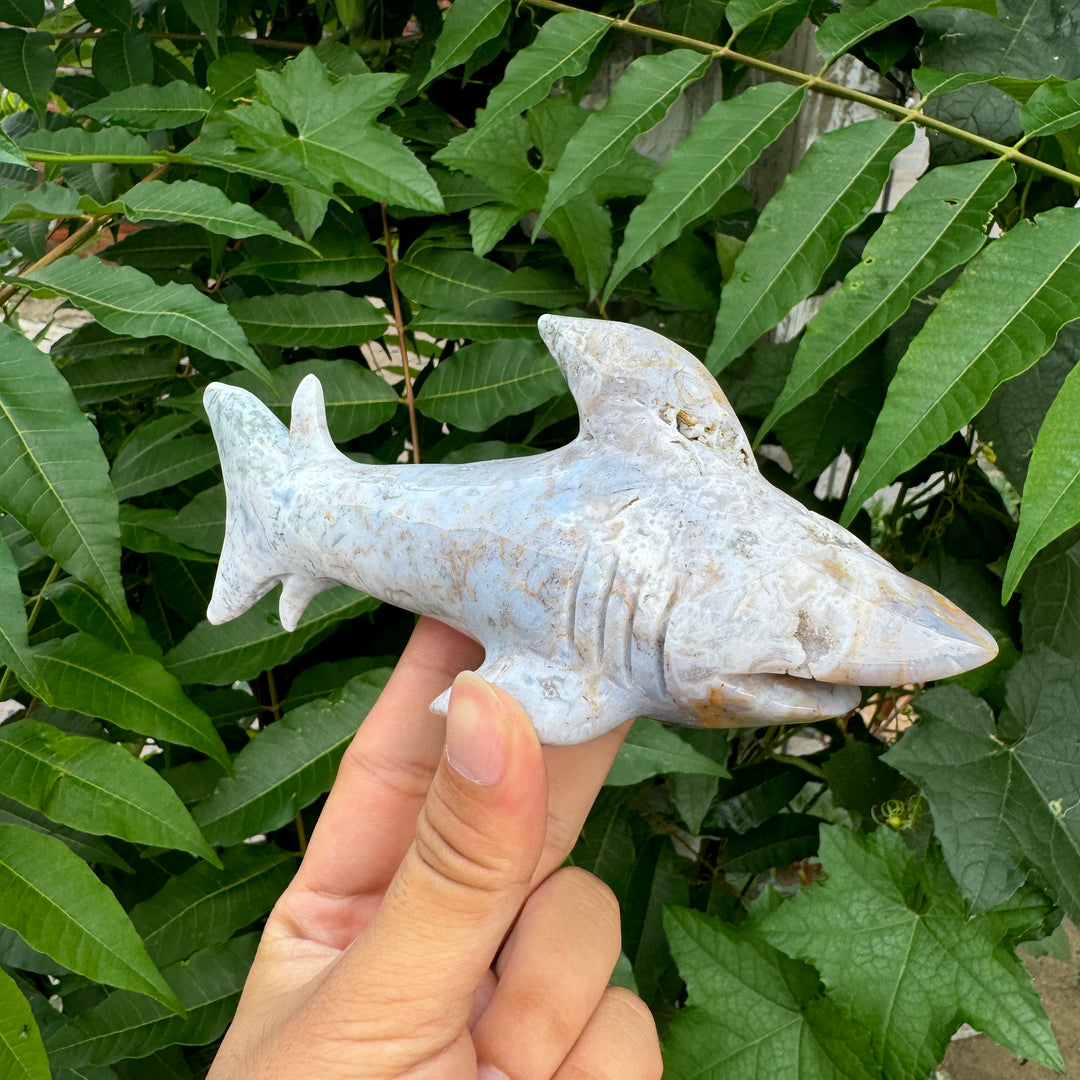 Sculpture de requin unique en jaspe océanique/agate