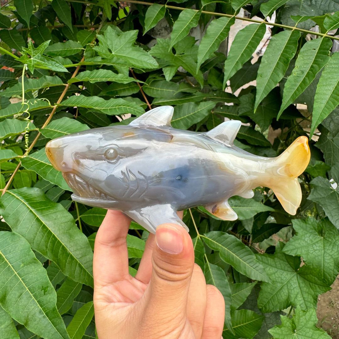 Unique,Ocean Jasper/Agate Shark Carving