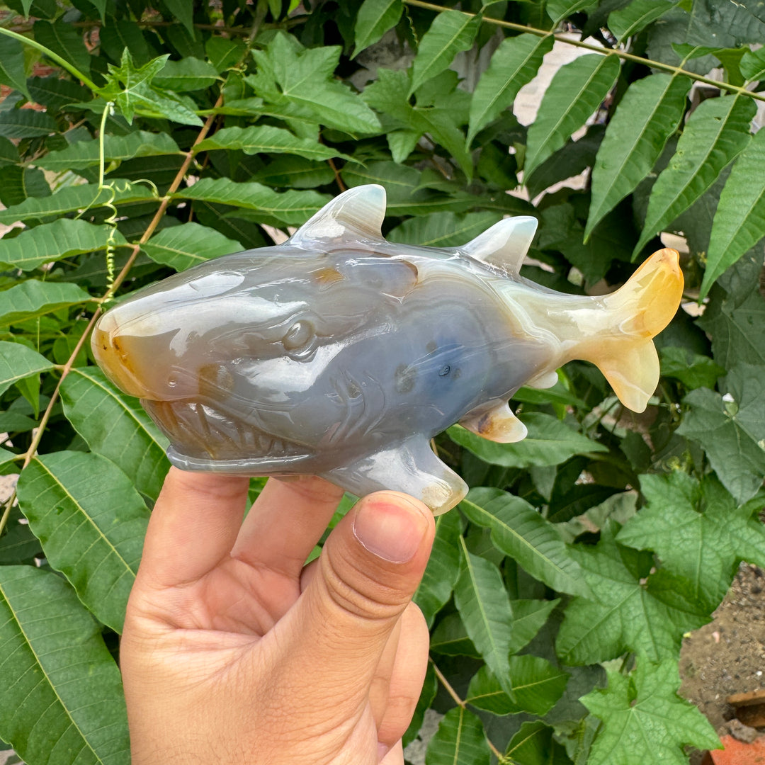 Unique,Ocean Jasper/Agate Shark Carving