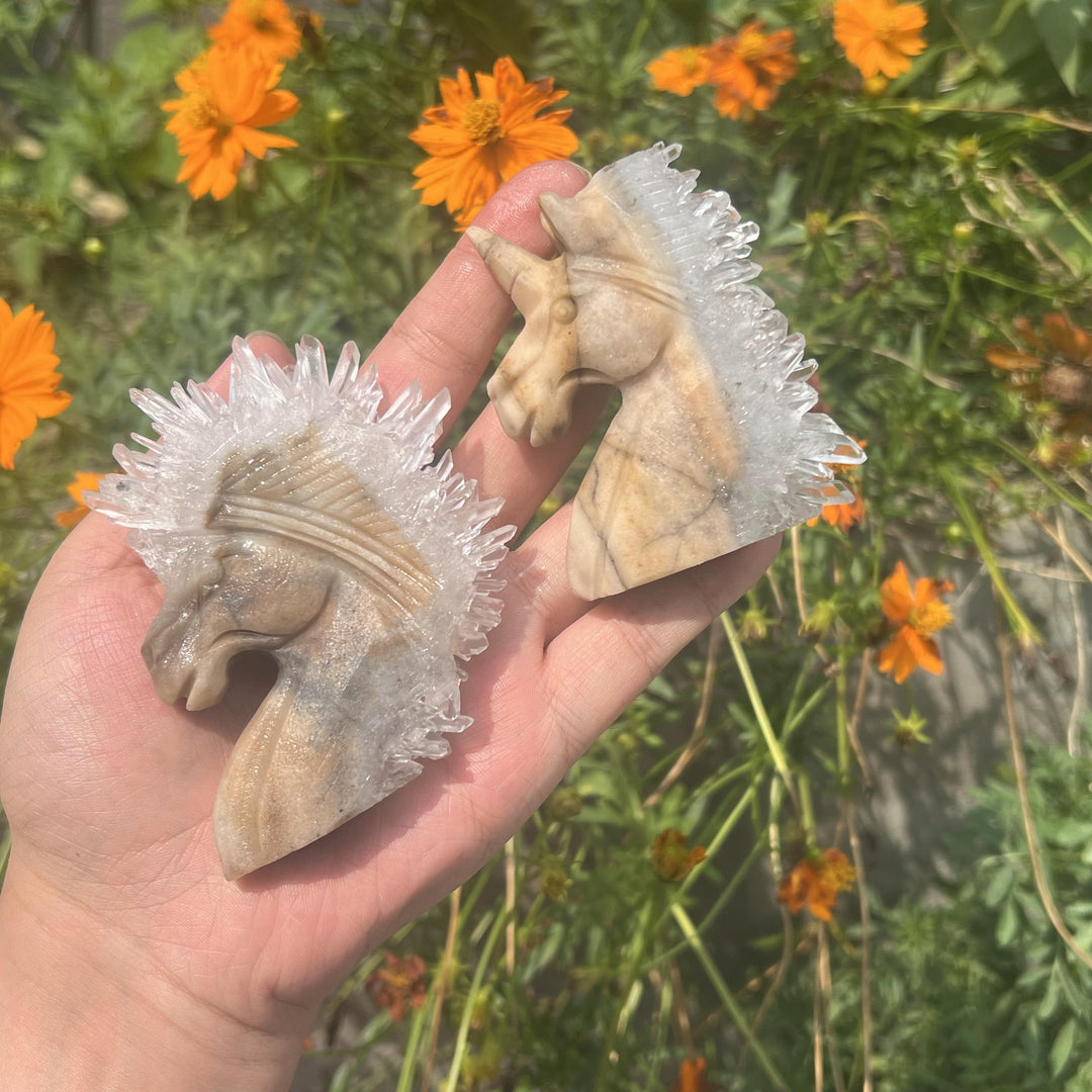 Clear Quartz Cluster Unicorn