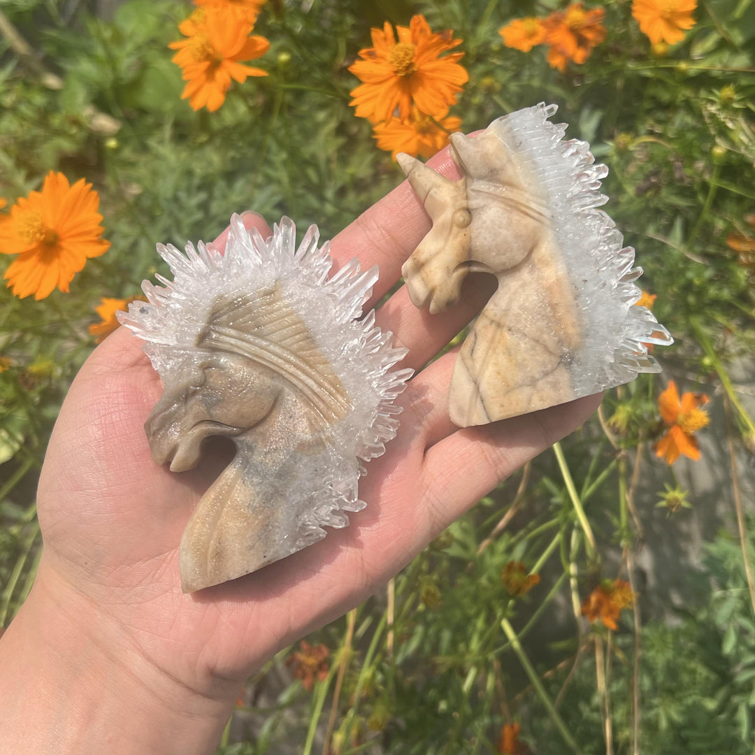 Clear Quartz Cluster Unicorn