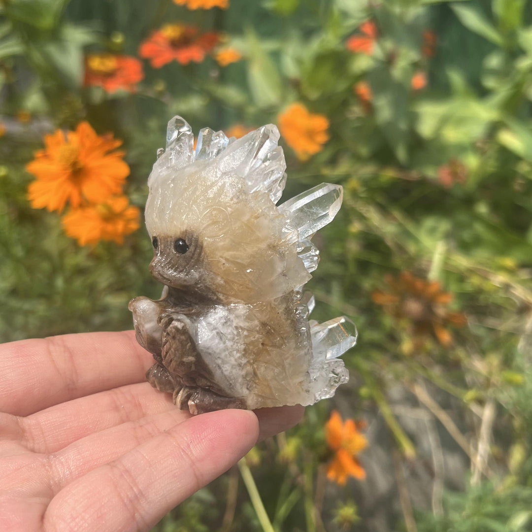 Hérisson en grappe de quartz clair