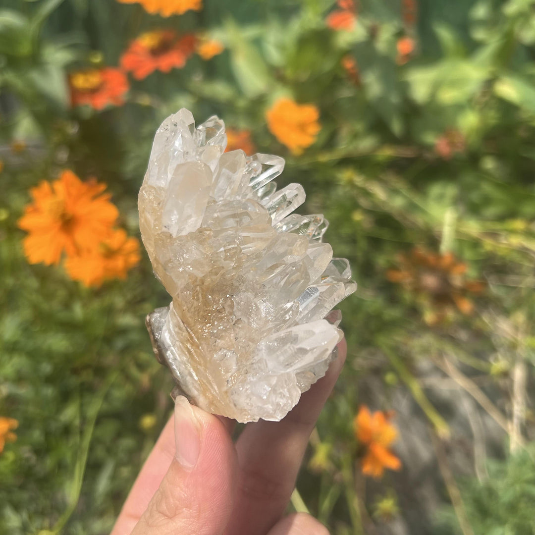 Clear Quartz Cluster Hedgehog