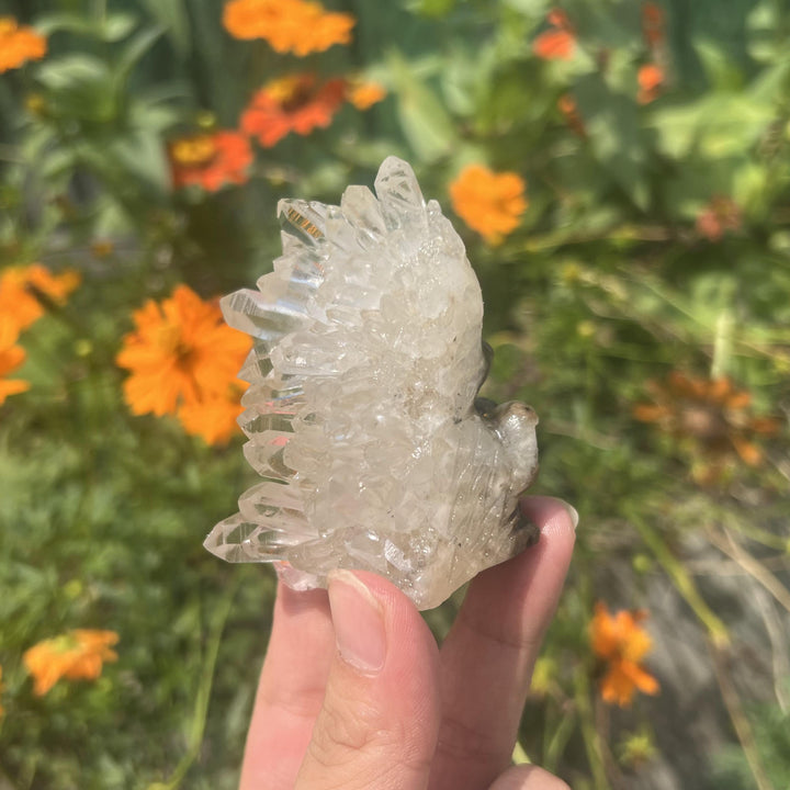 Clear Quartz Cluster Hedgehog