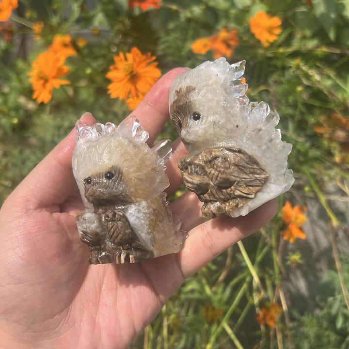 Clear Quartz Cluster Hedgehog