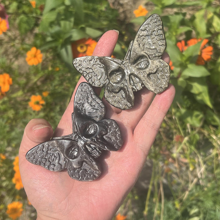 Crâne de papillon en obsidienne dorée/argentée