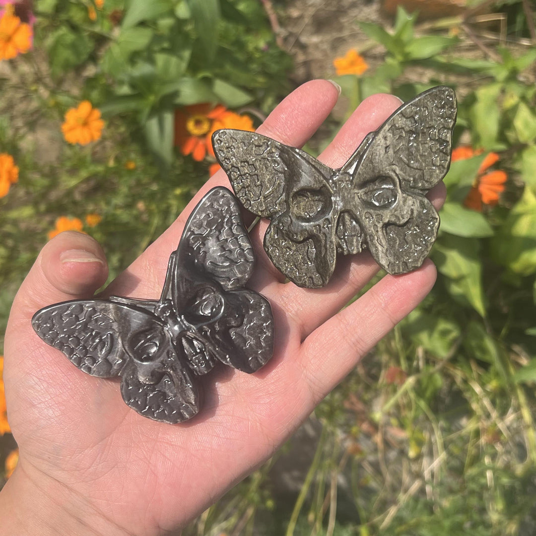 Crâne de papillon en obsidienne dorée/argentée