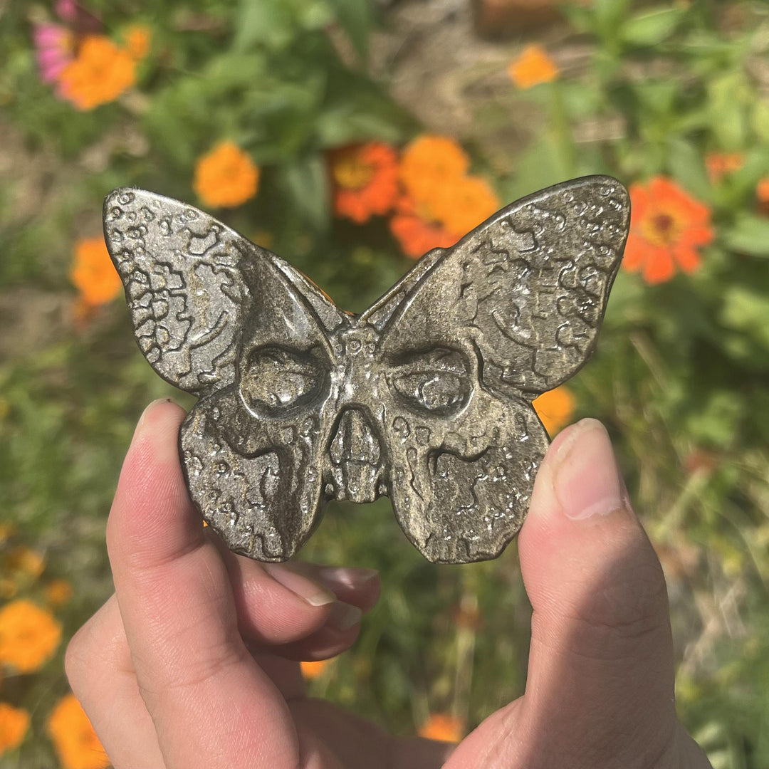 Crâne de papillon en obsidienne dorée/argentée